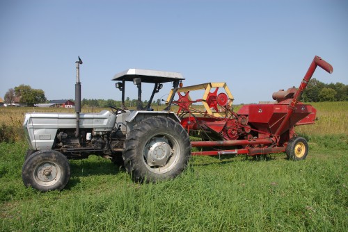 Ready to begin the hemp harvest. In the distance, behind the Massey Furgeson 35 pull type combine, the land drops down into the Bonnechere River, East of Douglas, in Ontario's Renfrew County. On the left is the farm of John and Rae Ann Briscoe
