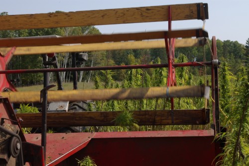 A view from behind the combine