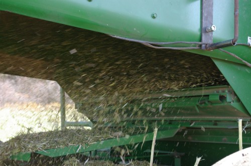 The chaff coming out the rear of the combine.