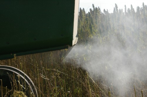 .... and more smoke