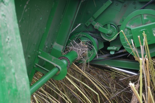 Dried male hemp plant stalks will wrap around any exposed moving shaft, axle, pulley, chain, or belt.
