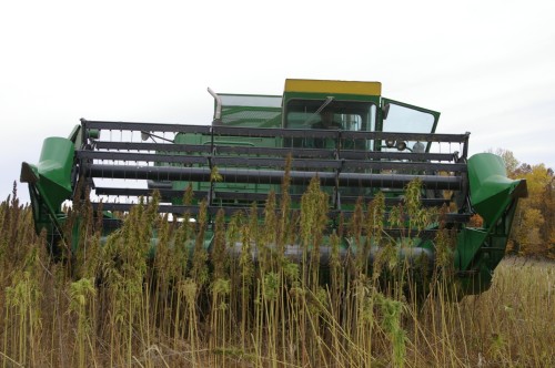A view of the approaching combine.