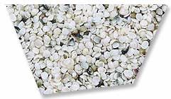Dehulled hemp seed image